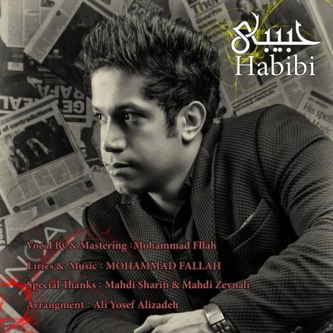 دانلود آهنگ جدید محمد فلاح بنام حبیبی