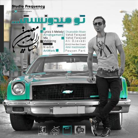 دانلود آهنگ جدید احسان الدین معین بنام تو میدونستی