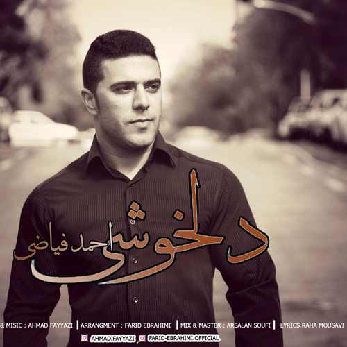 دانلود آهنگ جدید دلخوشی از احمد فیاضی همراه متن آهنگ