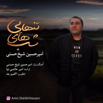 دانلود آهنگ جدید شب های تنهایی از امیرحسین شیخ حسنی همراه متن آهنگ