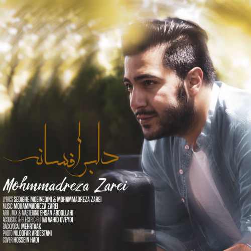 دانلود آهنگ جدید دلبر افسانه از محمدرضا زارعی همراه متن آهنگ