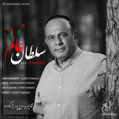 دانلود آهنگ جدید سلطان عالم از علی حامدی همراه متن آهنگ