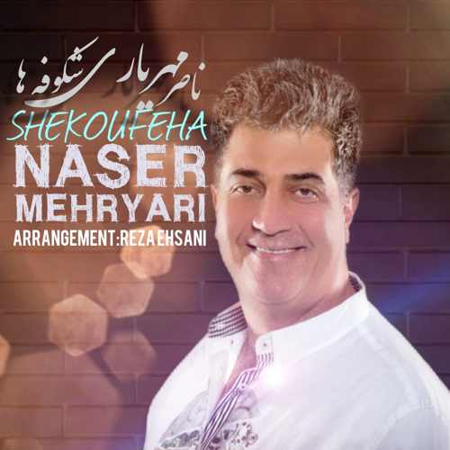 دانلود آهنگ جدید شکوفه ها از ناصر مهریاری همراه متن آهنگ
