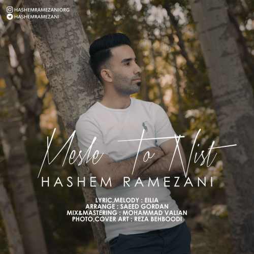 دانلود آهنگ جدید مثل تو نیست از هاشم رمضانی همراه متن آهنگ