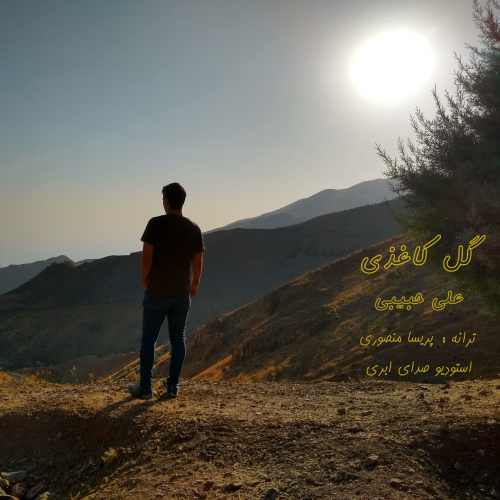 دانلود آهنگ جدید گل کاغذی از علی حبیبی همراه متن آهنگ