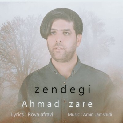 دانلود آهنگ جدید زندگی از احمد زارع همراه متن آهنگ