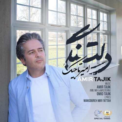 دانلود آهنگ جدید دلتنگی از امیر تاجیک همراه متن آهنگ