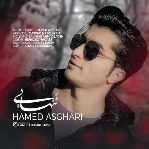 دانلود آهنگ جدید تنهایی از حامد اصغری همراه متن آهنگ