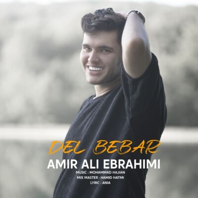 دانلود آهنگ جدید دل ببر از امیر علی ابراهیمی همراه متن آهنگ