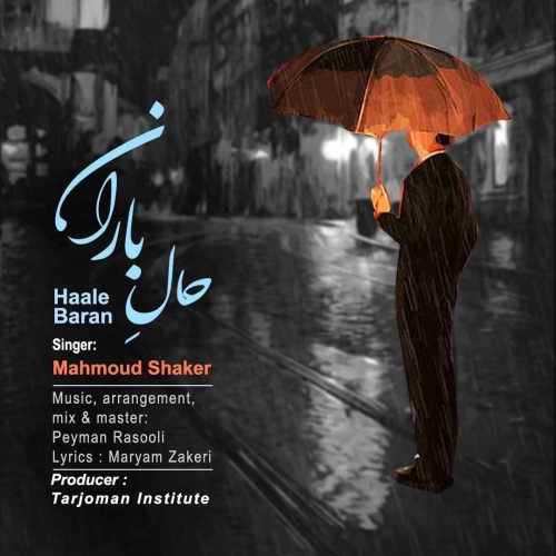 دانلود آهنگ جدید حال باران از محمود شاکر همراه متن آهنگ