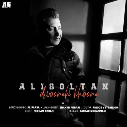 دانلود آهنگ جدید دیوونه خونه از علی سلطان همراه متن آهنگ